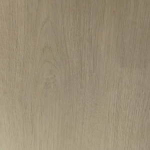 Spotted Gum